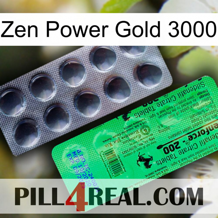 Zen Power Gold 3000 new04
